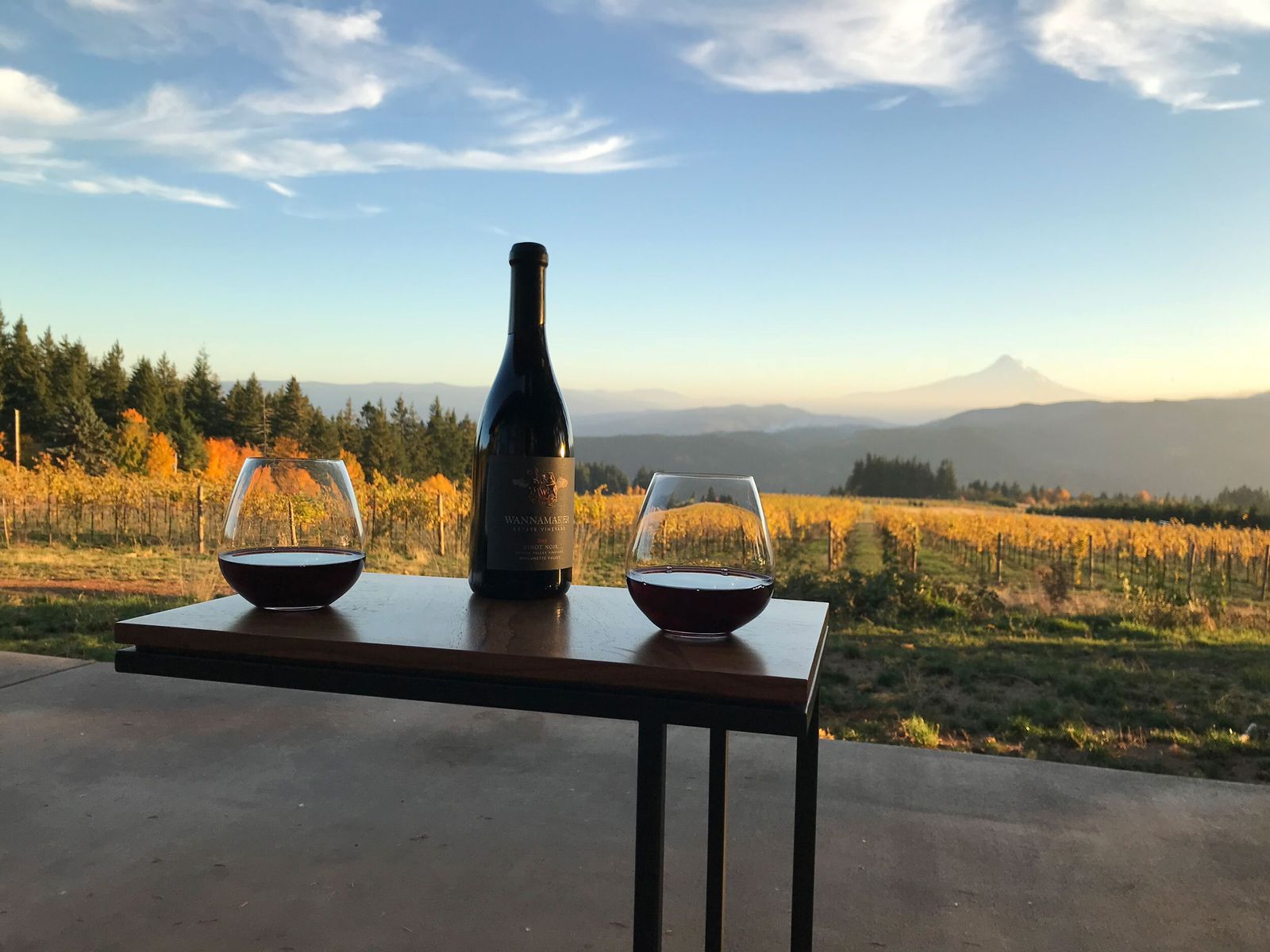 Wine glasses and a bottle on a table overlooking the vineyard and Mt. Hood