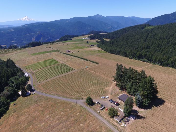 Aerial view of the estate vineyard and farm