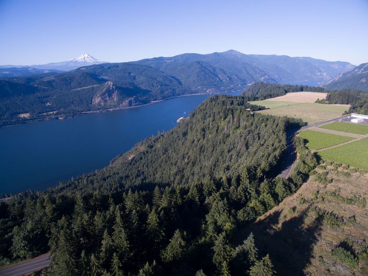 Aerial view of the Columbia Gorge and river near the estate