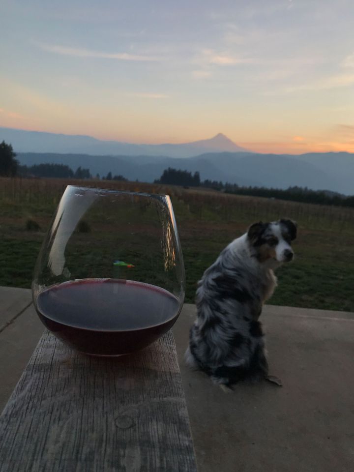 A glass of wine and the estate dog at sunset