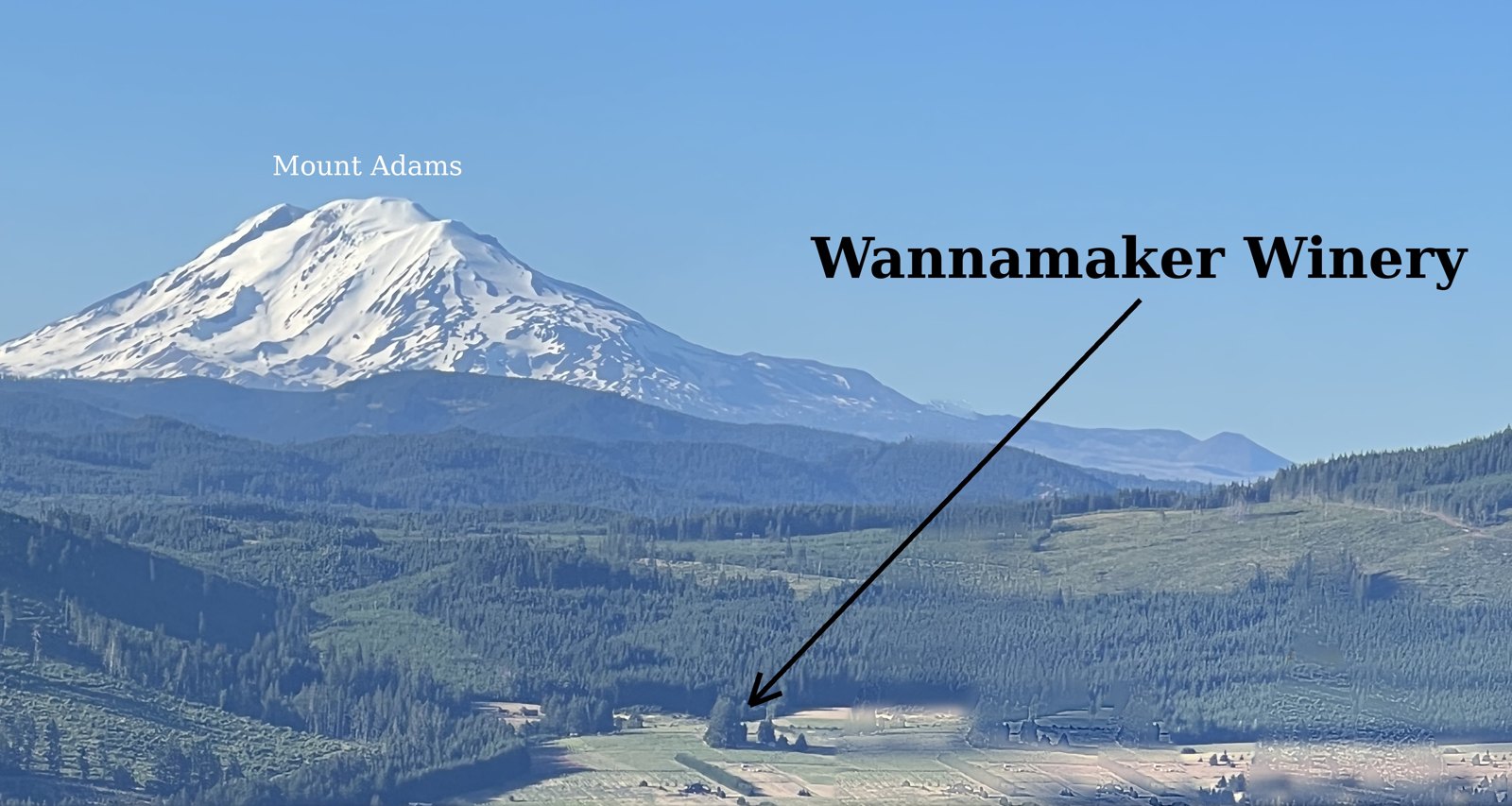 View from Post Canyon with Mount Adams and Wannamaker Winery labeled